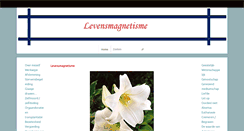 Desktop Screenshot of levensmagnetisme.nl